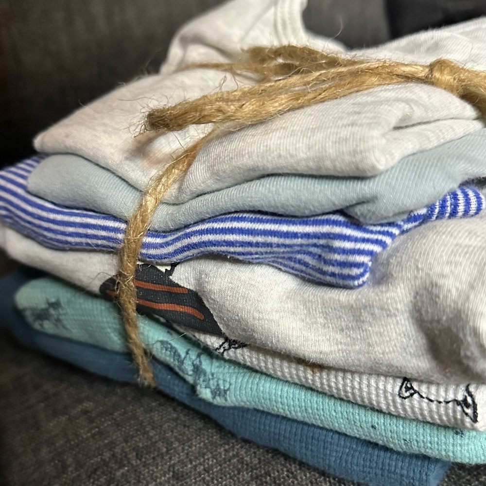 Carter's 18M onesie and long sleeve bundle